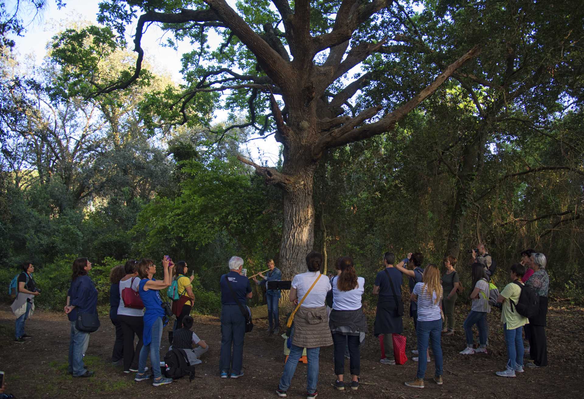 Due passi in musica nella villa di Plinio